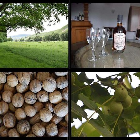 The Wine Cellar In The Old Gemeinde House Brauneberg Exterior foto