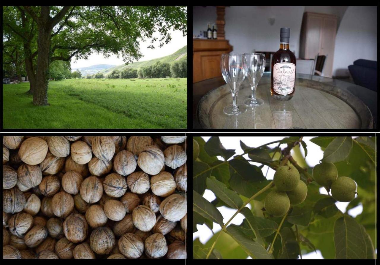 The Wine Cellar In The Old Gemeinde House Brauneberg Exterior foto